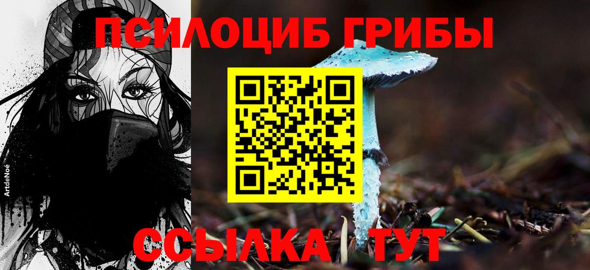 Гай  Псилоцибиновые грибы мицелий  Вход с VPN 